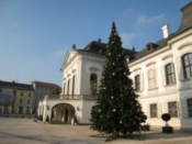 Christmas tree outside of Presidential Palace