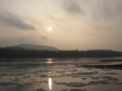 Morava carries ice into the Danube