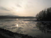 Morava carries ice into the Danube