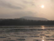 Morava carries ice into the Danube