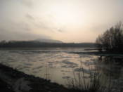Morava carries ice into the Danube