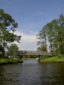 Along the river