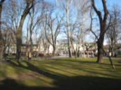 City park