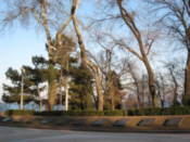 War memorial in Shevchenko Park
