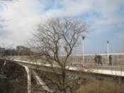 Mother In Law's Bridge