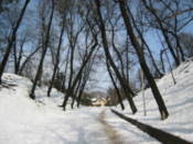 On the way up to the High Castle