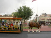 Horse pulls cart