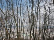 Looking down on Lviv through the trees