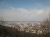 View from the High Castle