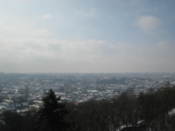 View from the High Castle