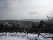 View from the High Castle