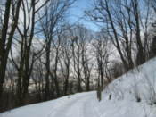 In the grounds of the High Castle park