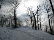 In the grounds of the High Castle park