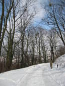 In the grounds of the High Castle park