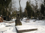 Inside the Lychakivskiy Cemetery