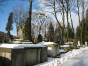 Inside the Lychakivskiy Cemetery