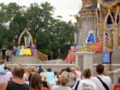 The Cinderellabration guests