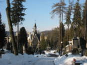 Inside the Lychakivskiy Cemetery