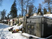Inside the Lychakivskiy Cemetery