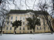 Pototsky Palace