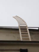 Curious ladder left on top of a building