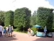 Square trees!