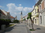Along Main Street