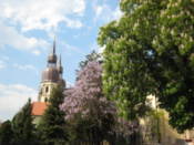 St. Nicolas Church seen through the trees