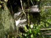 A stream
