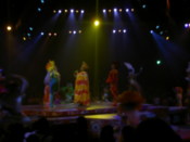 Another scene from the Lion King parade